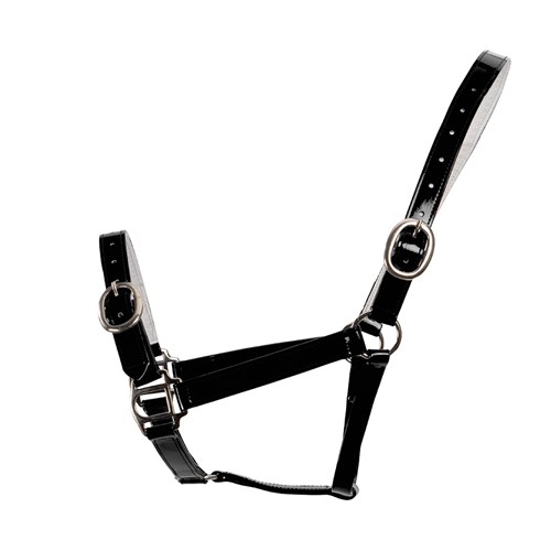 HSN5000F BK-01